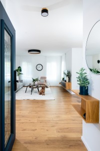 מבט מהדלת אל החלל המרכזי, נגרות כניסה